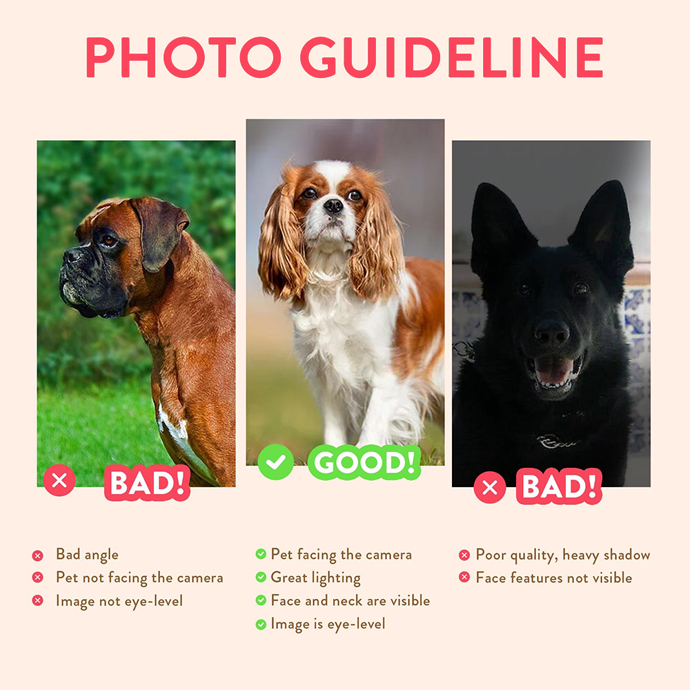 Spersonalizowane portrety zwie – Pet Portrait Custom recenzja i cena