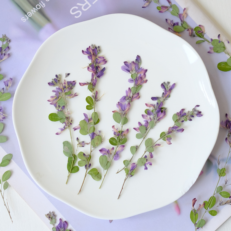 6 sztuk, naturalne suszone i p – Dried Flower Bookmark recenzja i cena
